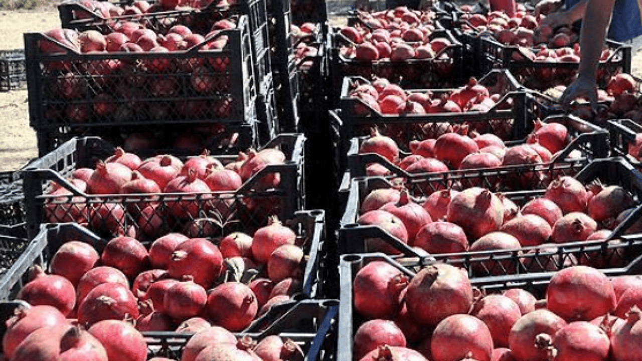 Foto - Nar kalp sağlığını destekleyen en iyi besin! 1 kaşık katmak yetiyor! Nar suyu: Çamaşır suyu gibi temizliyor
