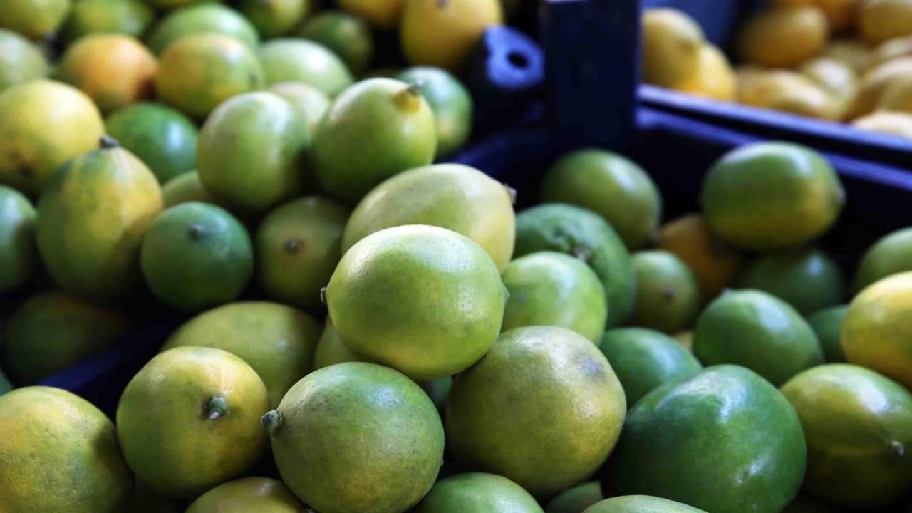 Foto - Narenciye bereketi! İhracatı yüzde 41 arttı