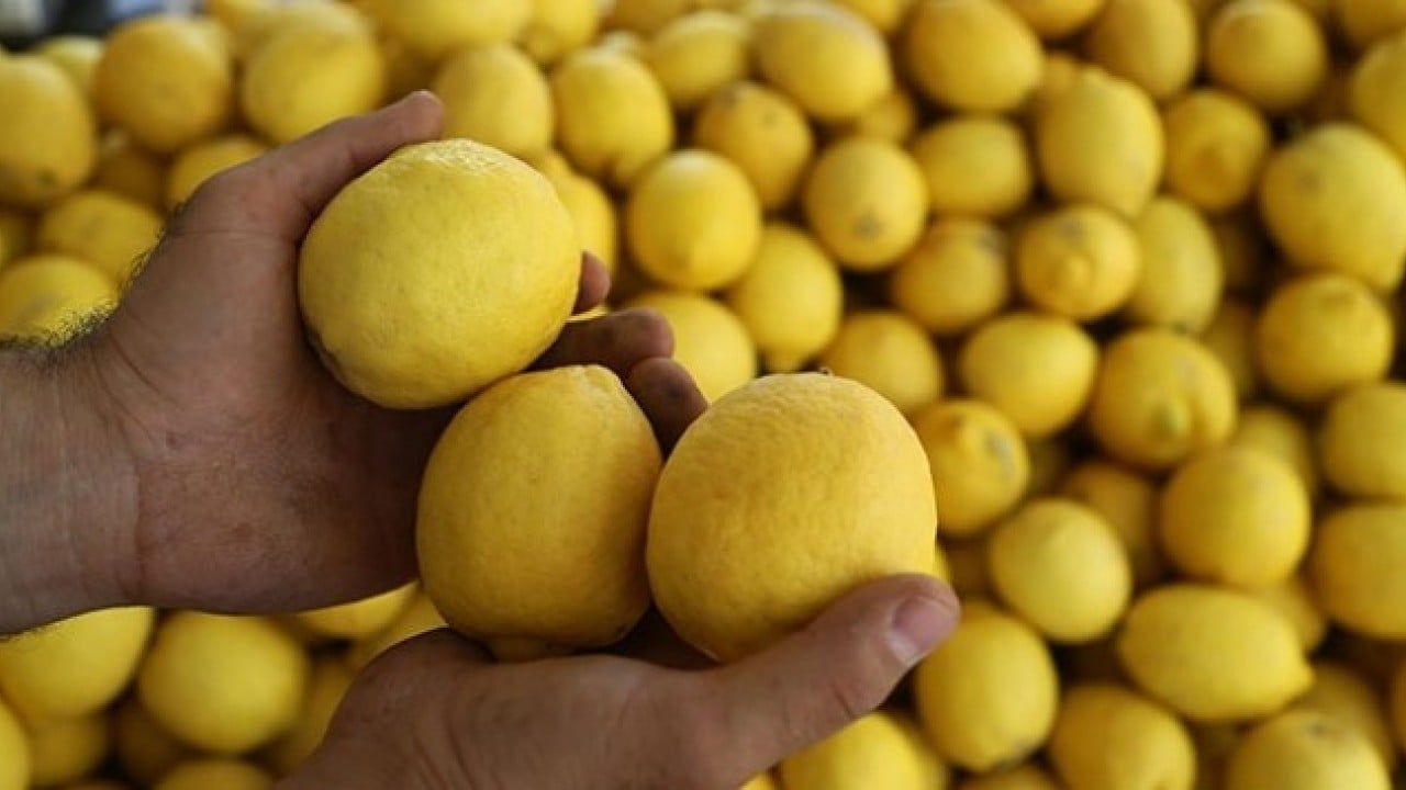 Foto - Narenciye bereketi! İhracatı yüzde 41 arttı