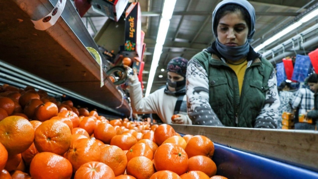 Foto - Narenciye bereketi! İhracatı yüzde 41 arttı