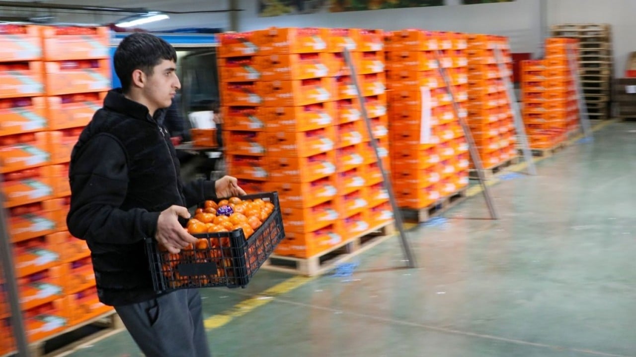 Foto - Narenciye bereketi! İhracatı yüzde 41 arttı