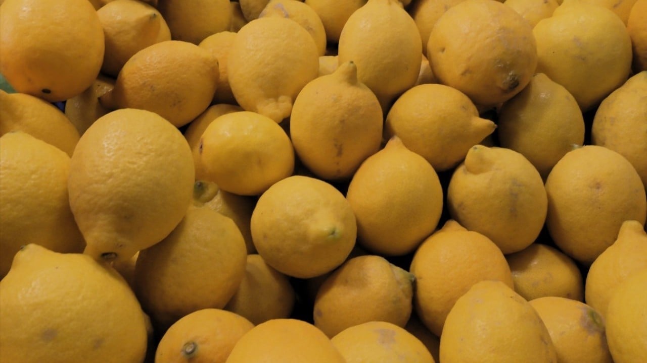 Foto - Narenciye bereketi! İhracatı yüzde 41 arttı