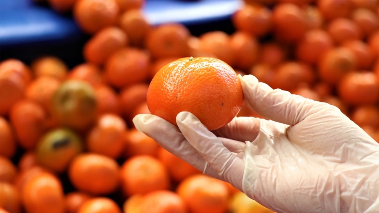 Foto - Narenciye bereketi! İhracatı yüzde 41 arttı