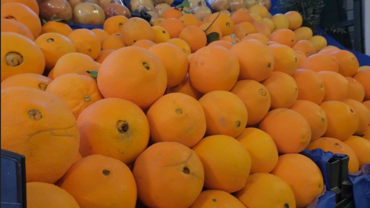 Foto - Narenciye bereketi! İhracatı yüzde 41 arttı