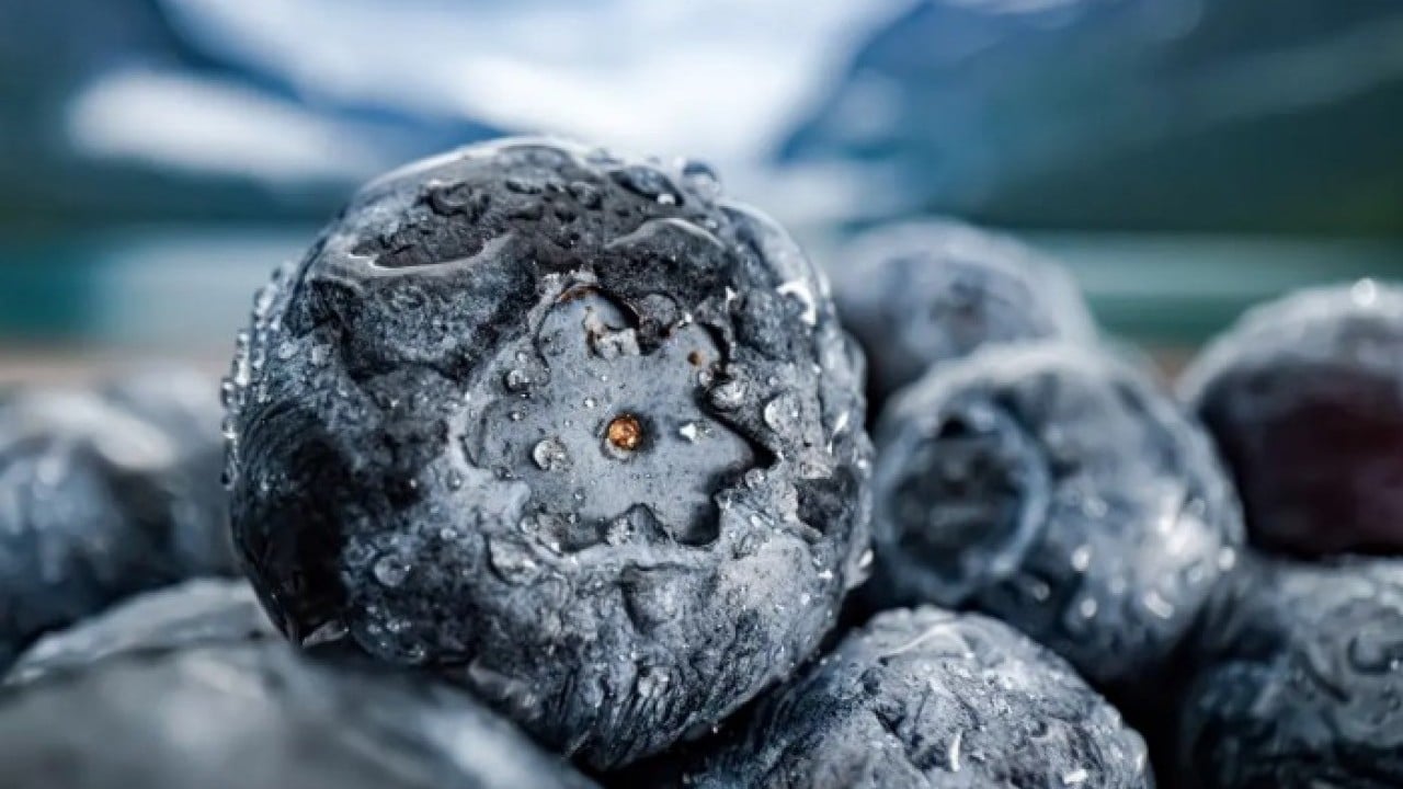 Foto - Nasıl olduğunu kimse bilmiyor: İşte gençleştiren 3 besin!