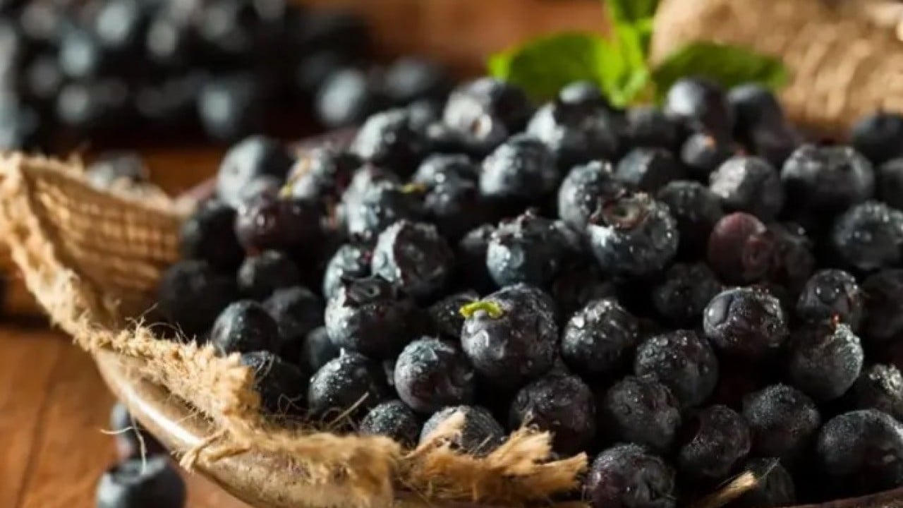 Foto - Nasıl olduğunu kimse bilmiyor: İşte gençleştiren 3 besin!