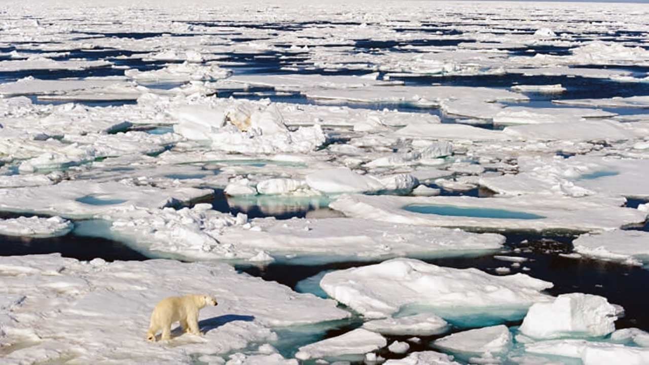 Foto - NATO komutanı petrol ve maden dolu bölgeye dikkat çekti! Rusya ve Çin uyarısında bulundu