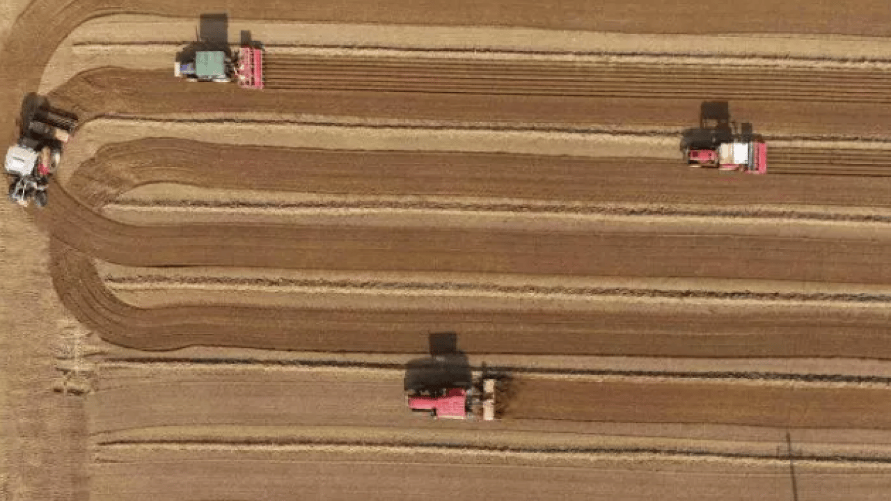 Foto - Ne altın ne de gümüş: Bir koyanın parası 10 kat arttı!