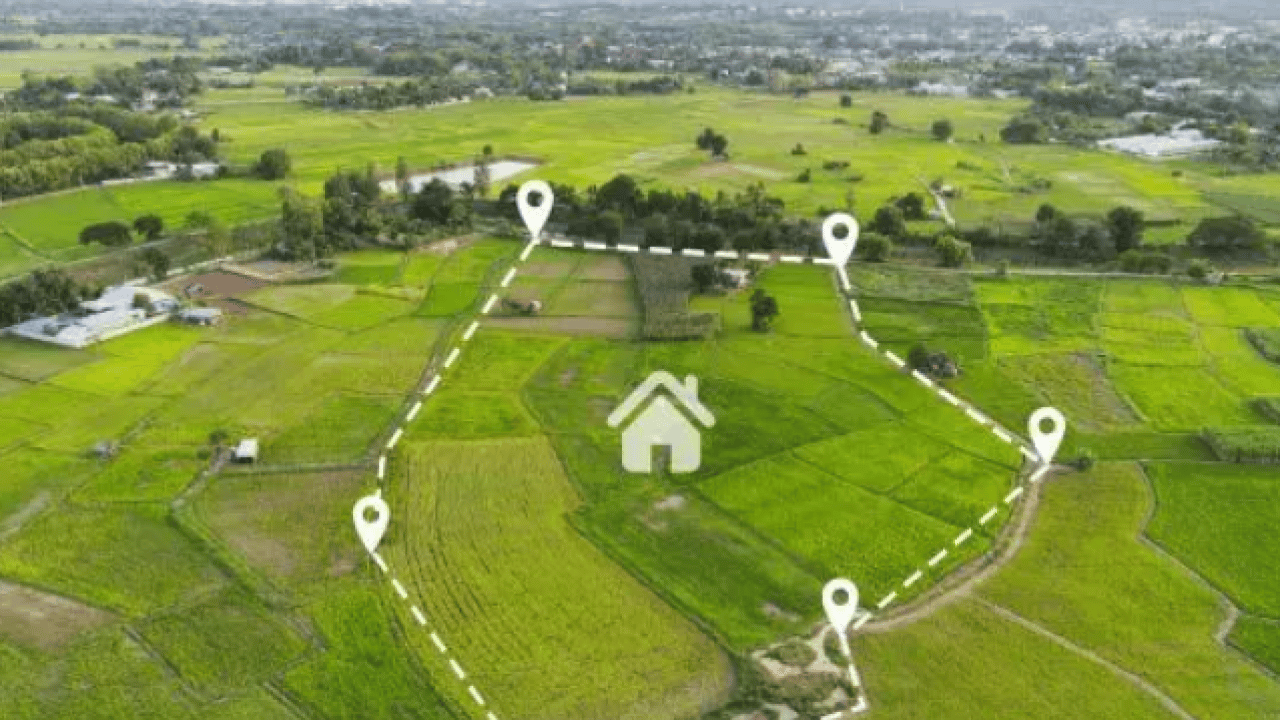 Foto - Ne altın ne de gümüş: Bir koyanın parası 10 kat arttı!