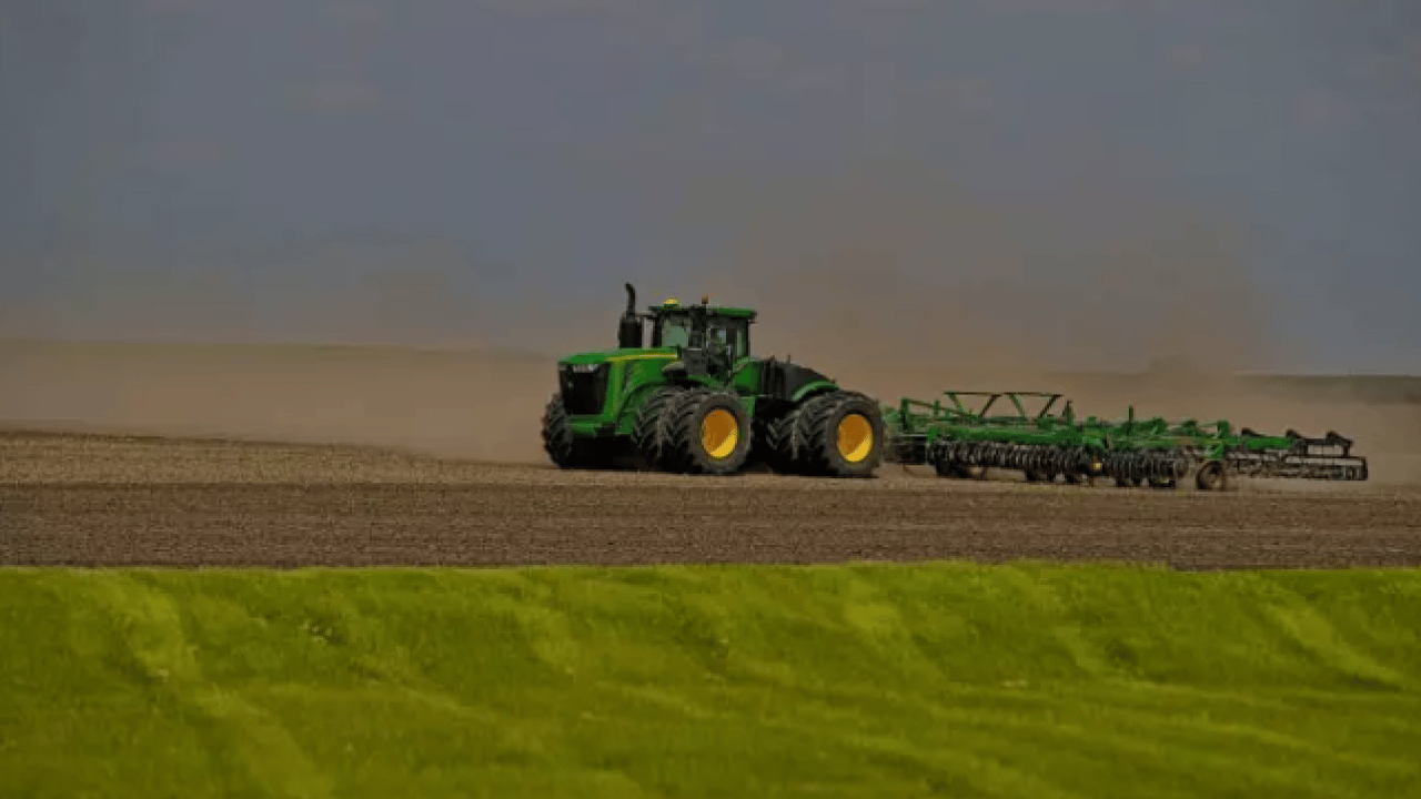 Foto - Ne altın ne de gümüş: Bir koyanın parası 10 kat arttı!