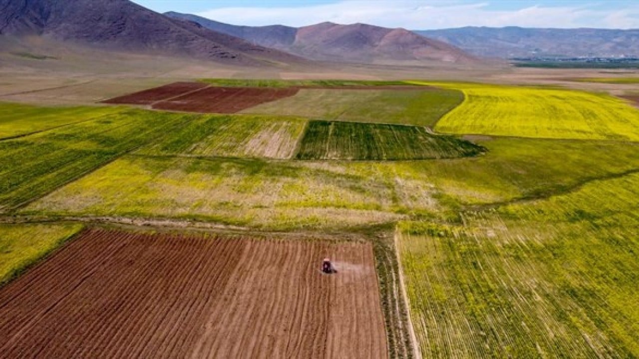 Foto - Ne altın ne dolar ne de gümüş! Türk halkı parasını oraya yatırmaya başladı, çılgınlar gibi kar ettiler