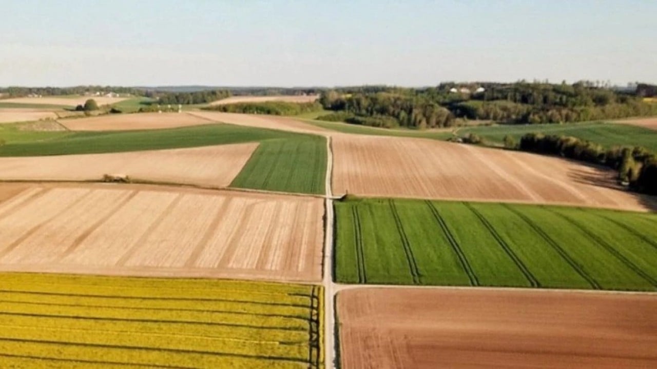 Foto - Ne altın ne dolar ne de gümüş! Türk halkı parasını oraya yatırmaya başladı, çılgınlar gibi kar ettiler