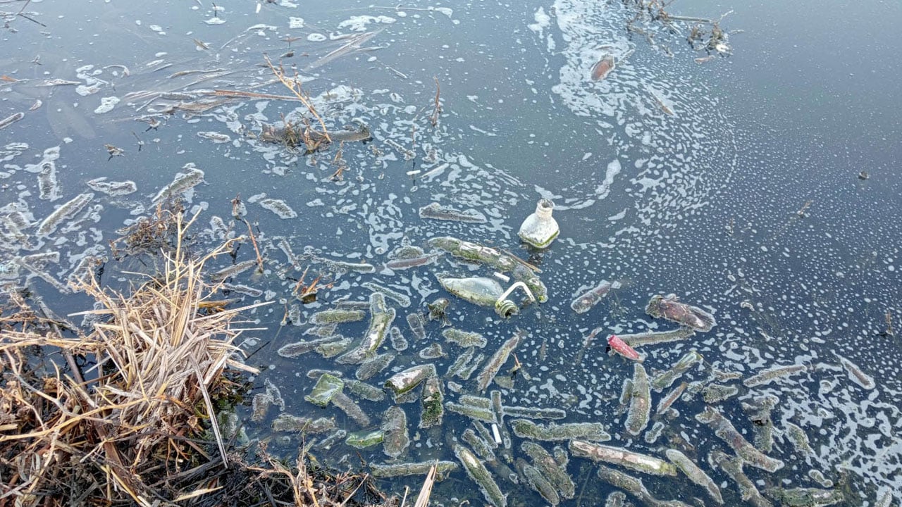 Ne balık kaldı ne kurbağa! Eber Gölü’nde hayat bitti