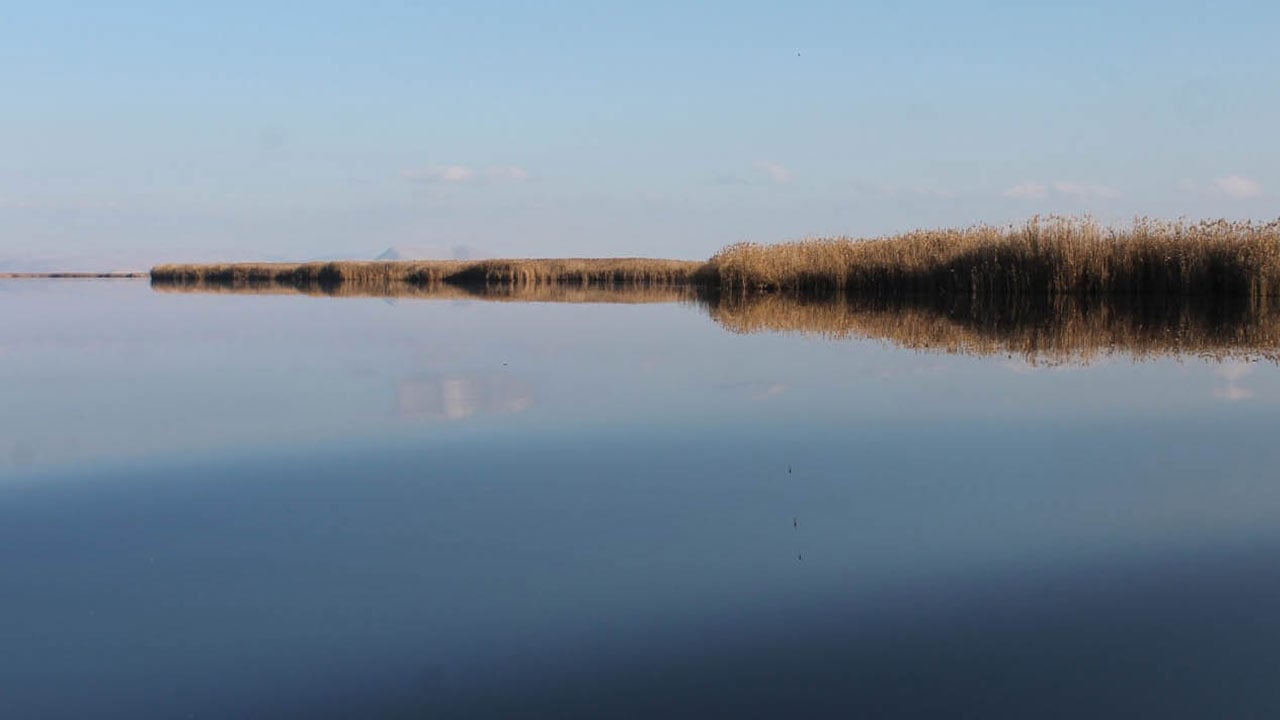 Foto - Ne balık kaldı ne kurbağa! Eber Gölü’nde hayat bitti