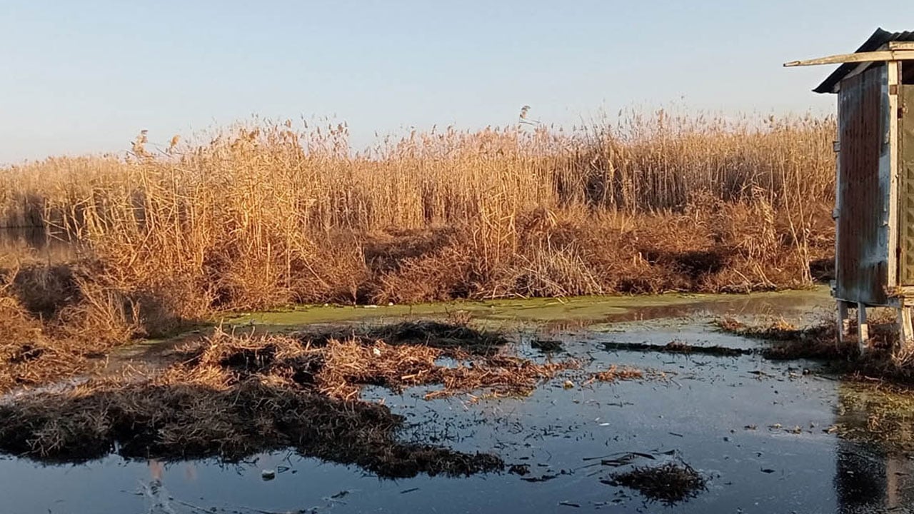 Foto - Ne balık kaldı ne kurbağa! Eber Gölü’nde hayat bitti