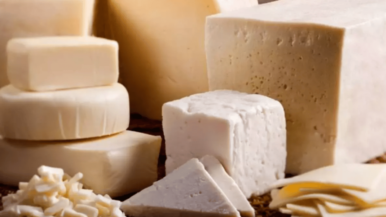 Uzmanların seçimi belli oldu: İşte dünyanın en sağlıklı 3 peyniri!