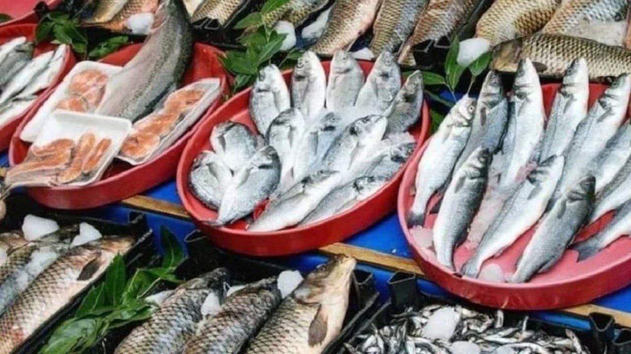 Ne hamsi ne lüfer: En sağlıklı balık o çıktı