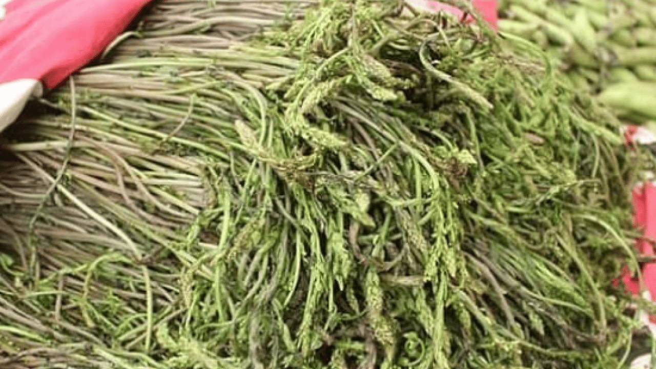 Foto - Kemik ağrısı ve romatizmadan eser kalmıyor! Kilosu sadece 150 TL!