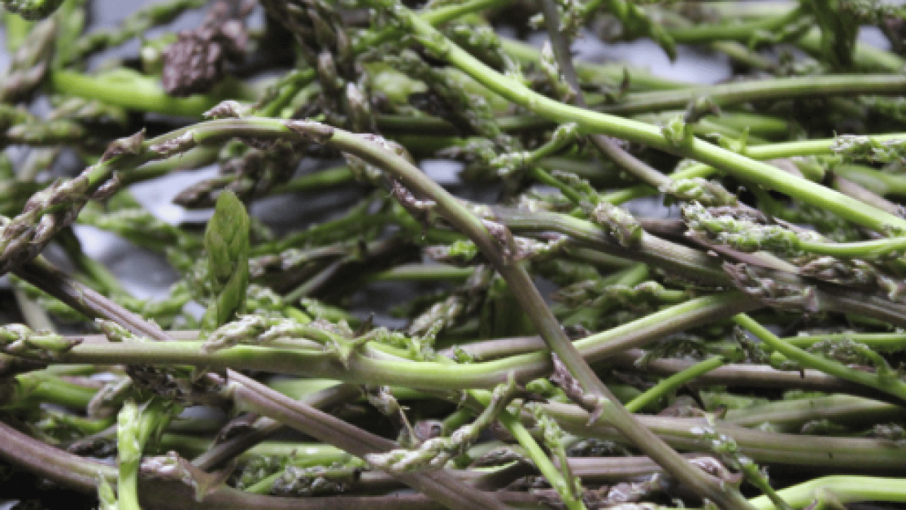 Foto - Kemik ağrısı ve romatizmadan eser kalmıyor! Kilosu sadece 150 TL!