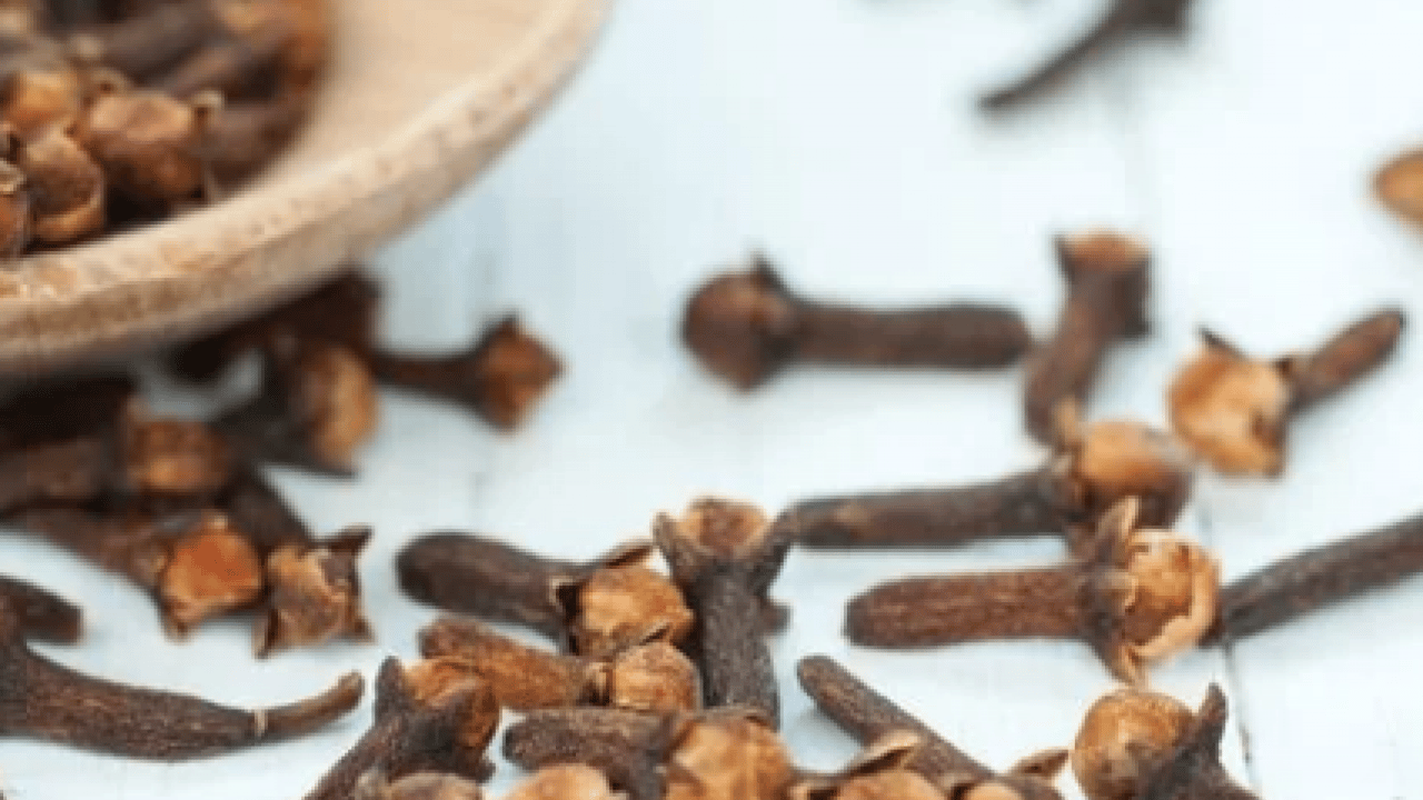 Foto - Ne mantar kalıyor ne koku! Müthiş çözüm... Ayakkabı kokusuna artık veda...