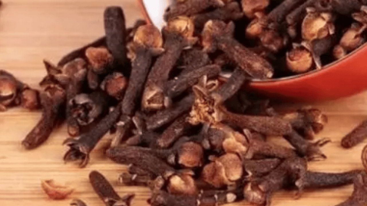 Foto - Ne mantar kalıyor ne koku! Müthiş çözüm... Ayakkabı kokusuna artık veda...