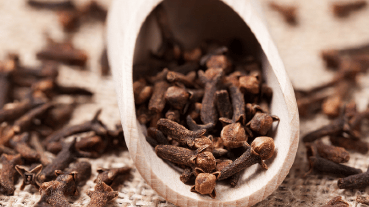 Foto - Ne mantar kalıyor ne koku! Müthiş çözüm... Ayakkabı kokusuna artık veda...