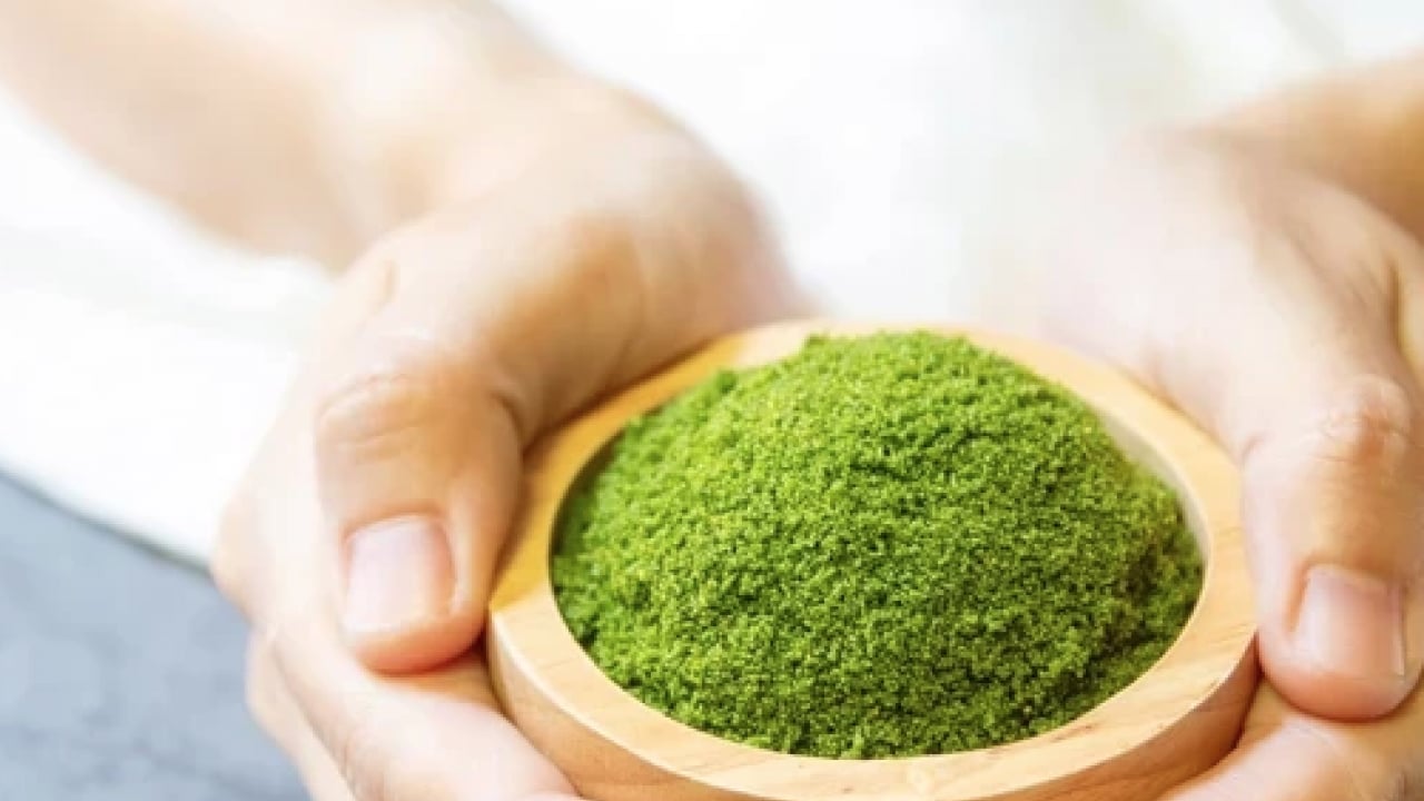 Foto - Ne maydanoz ne marul! Güneydoğu Asya’nın şifa kaynağı keşfedildi artık! Dünyanın en küçük çiçeği…