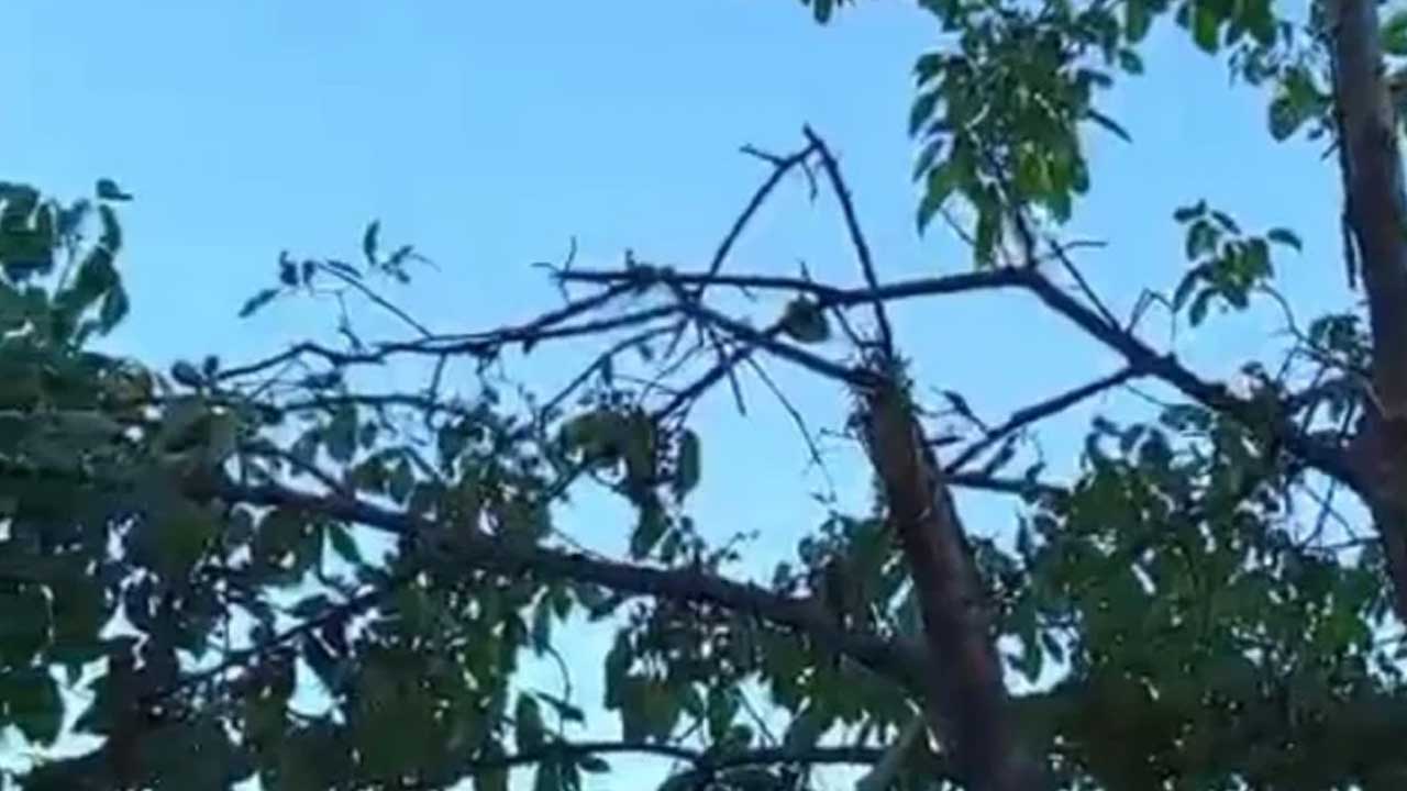 Foto - Ne Rusya ne Gürcistan ne de İran! Trabzon'da infilak eden İHA bakın hangi ülkenin çıktı