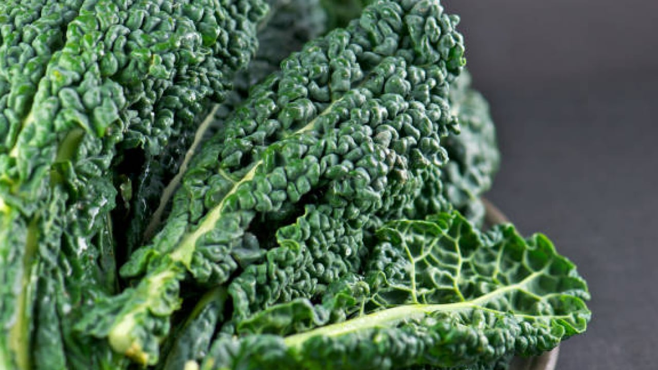 Foto - Ne süt ne yoğurt: İşte kemikleri demir gibi yapan yeşillik!