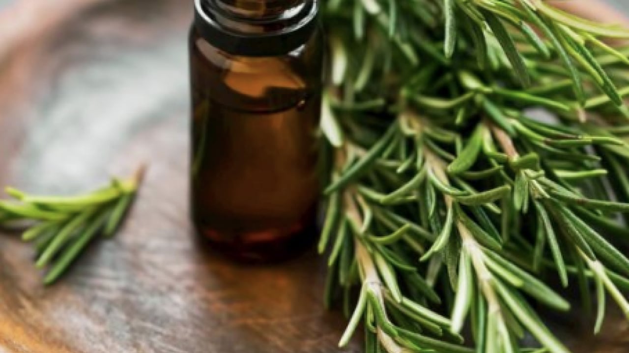 Foto - Ne yaparsak yapalım saçları lastik gibi uzatan 3 yağ bu! Bir tel dökülmeyecek! Süreniz 30 dk.