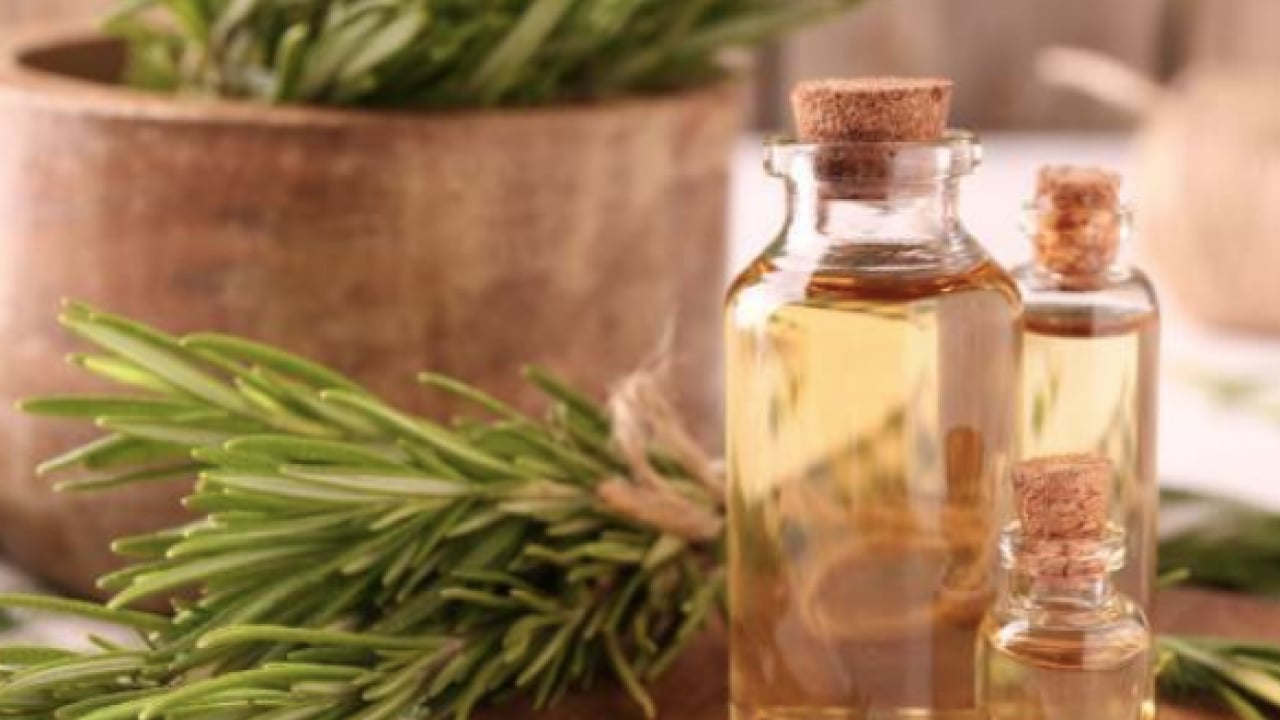 Foto - Ne yaparsak yapalım saçları lastik gibi uzatan 3 yağ bu! Bir tel dökülmeyecek! Süreniz 30 dk.