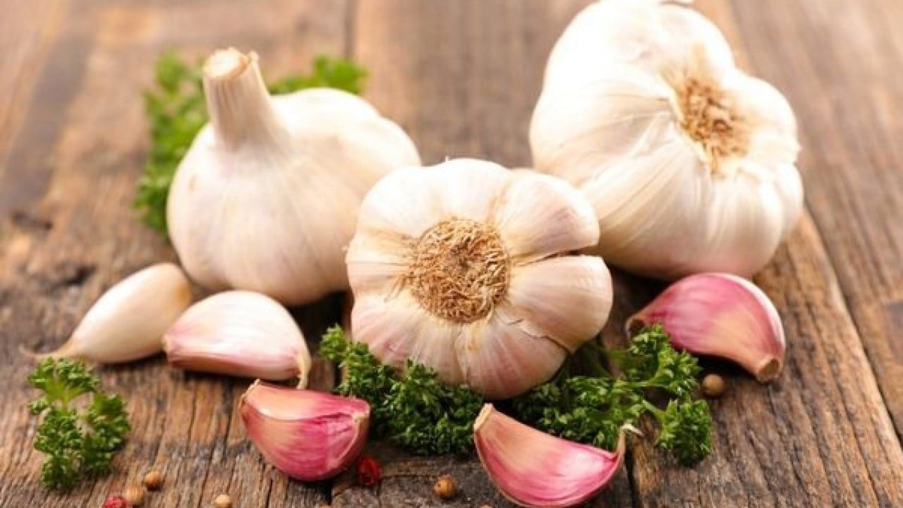 Foto - Ne yersen o’sun: Beslenme vücut kokusunu baştan şekillendiriyor