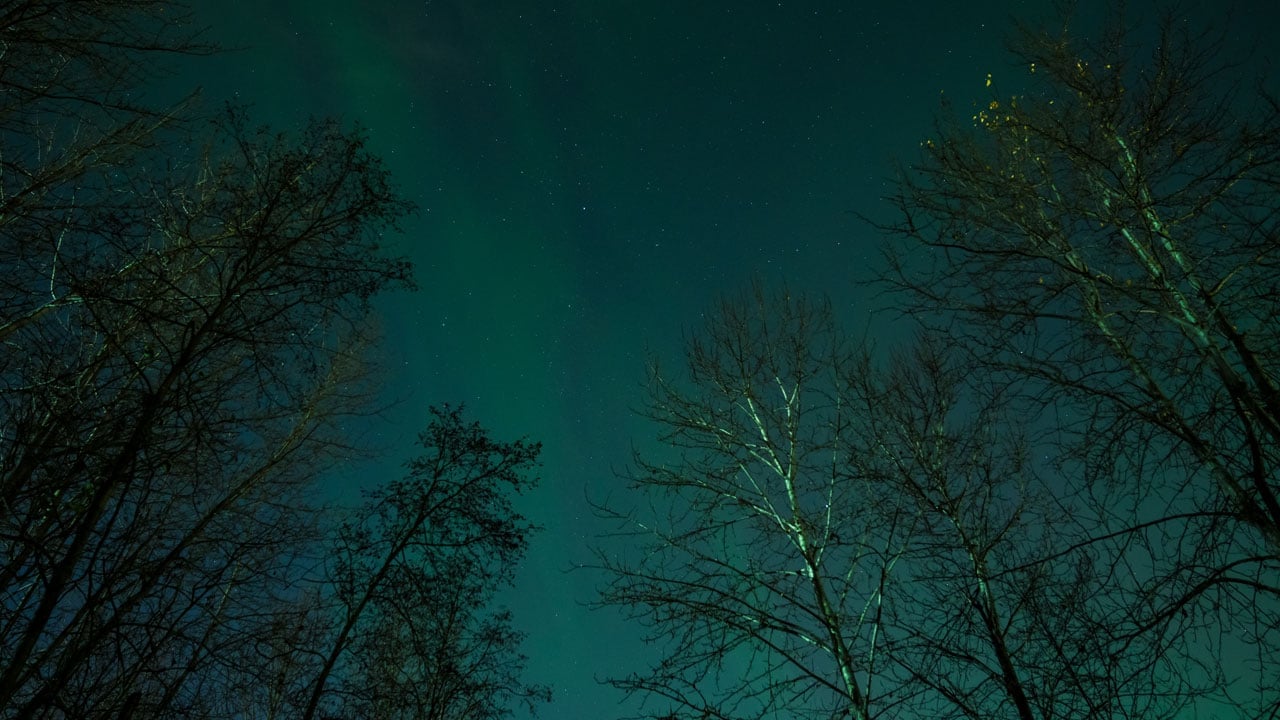 Foto - Nefes kesen görüntü! Anchorage semalarında kuzey ışıkları dans etti