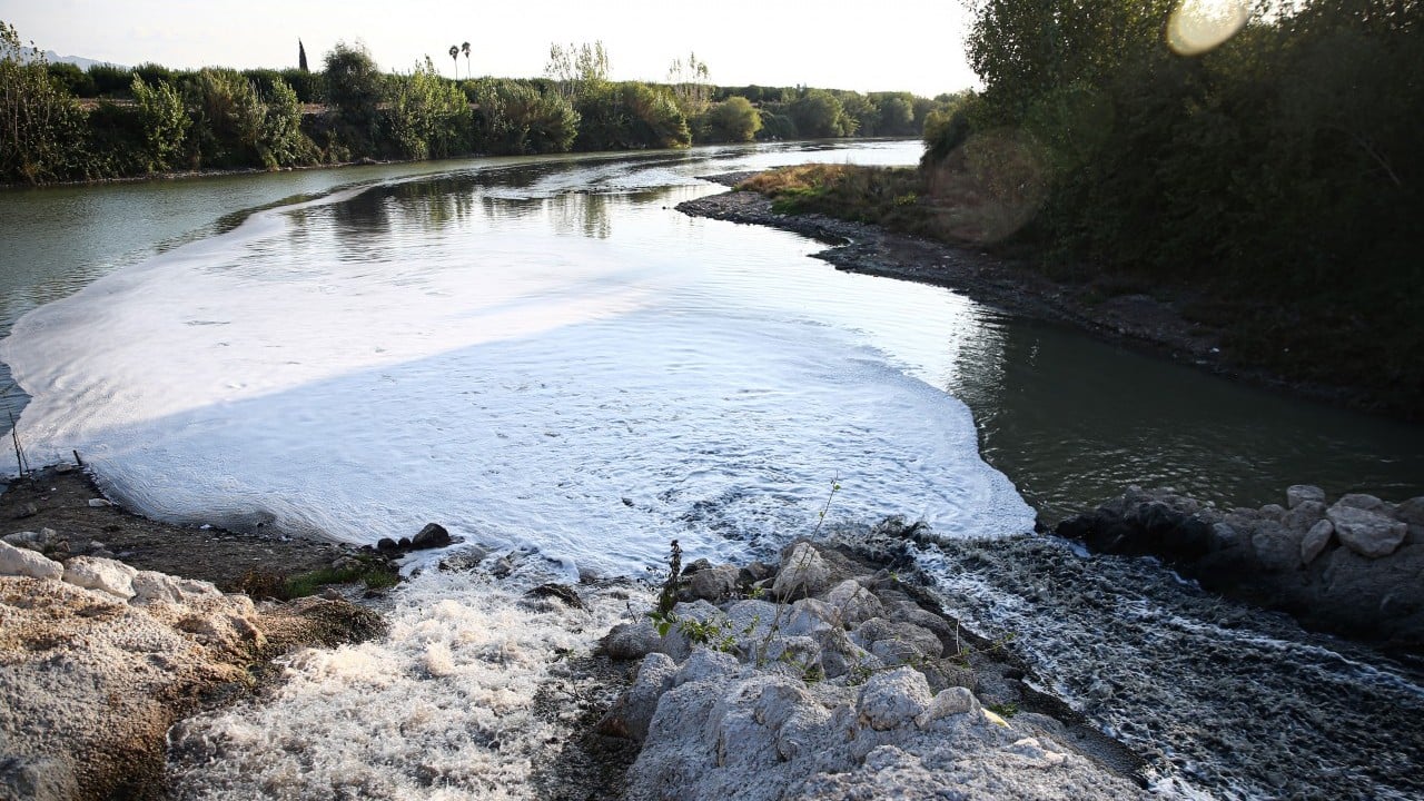 Foto - Nehirde korkutan balık ölümleri: Su siyaha boyandı, ekipler incelemede
