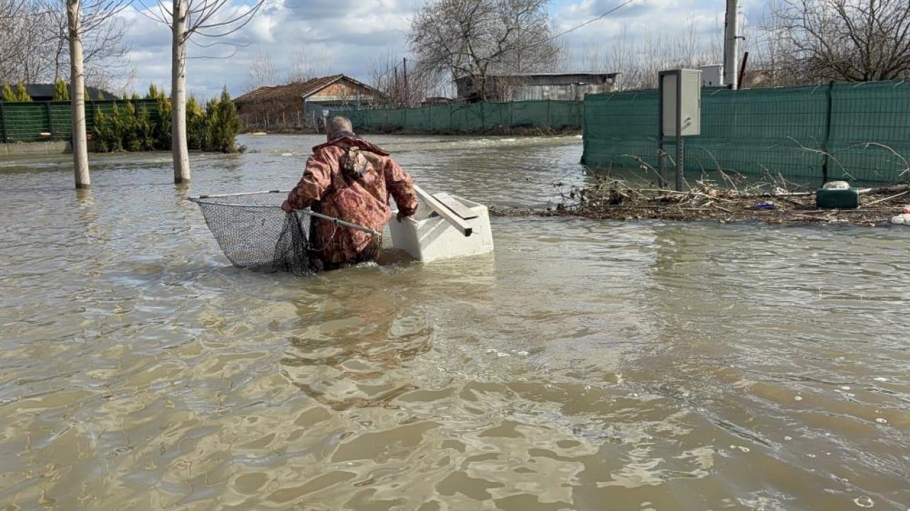 Foto - Nehiri bırakan "sazan" şehre indi