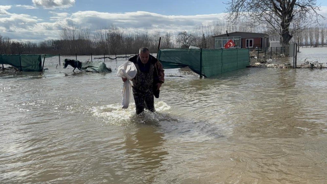 Foto - Nehiri bırakan "sazan" şehre indi