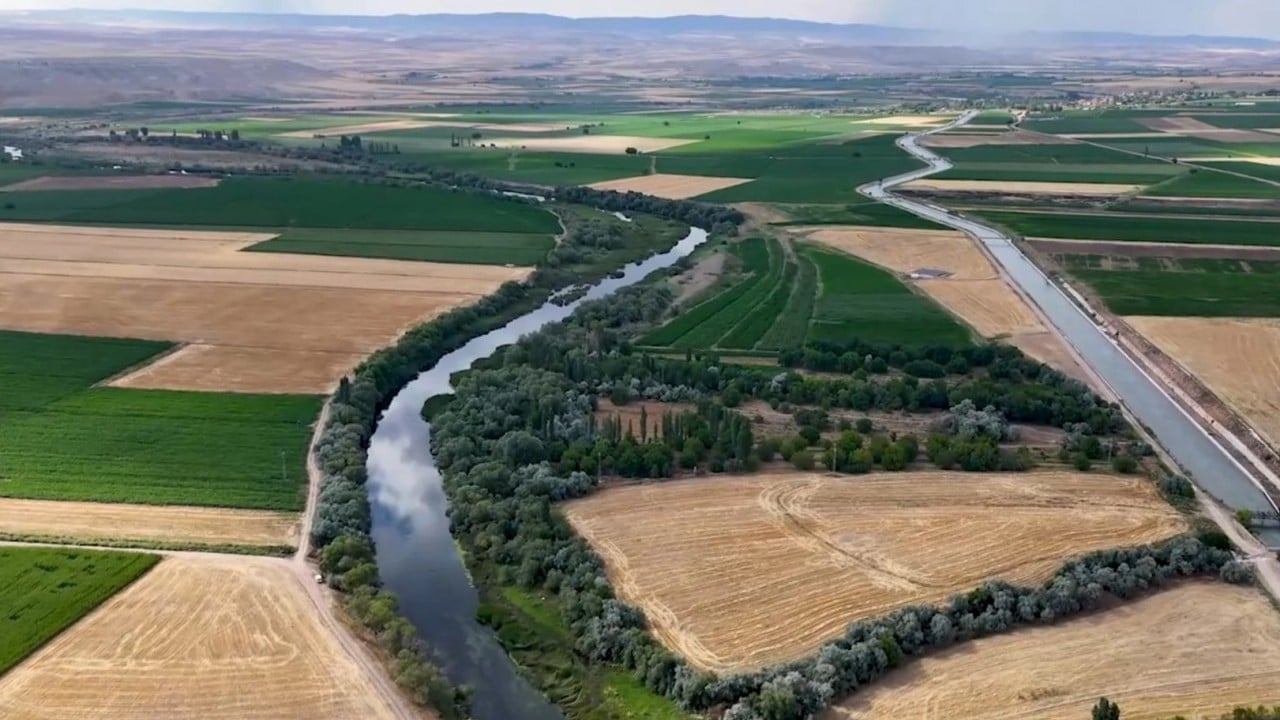 Foto - Nehirlerimizden antibiyotik akıyor
