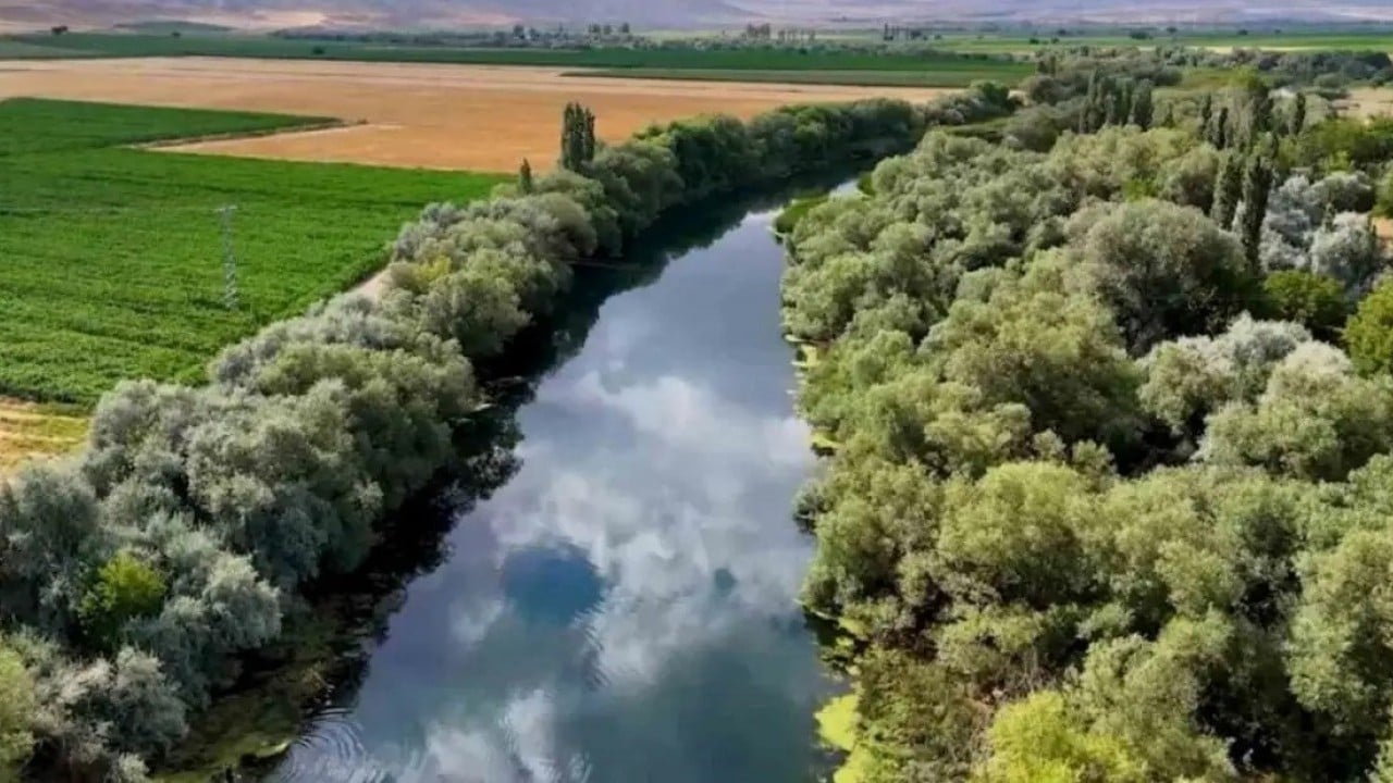 Foto - Nehirlerimizden antibiyotik akıyor