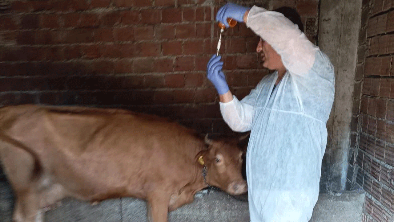 Foto - Neler oluyor? 34 mahalle karantinaya alındı