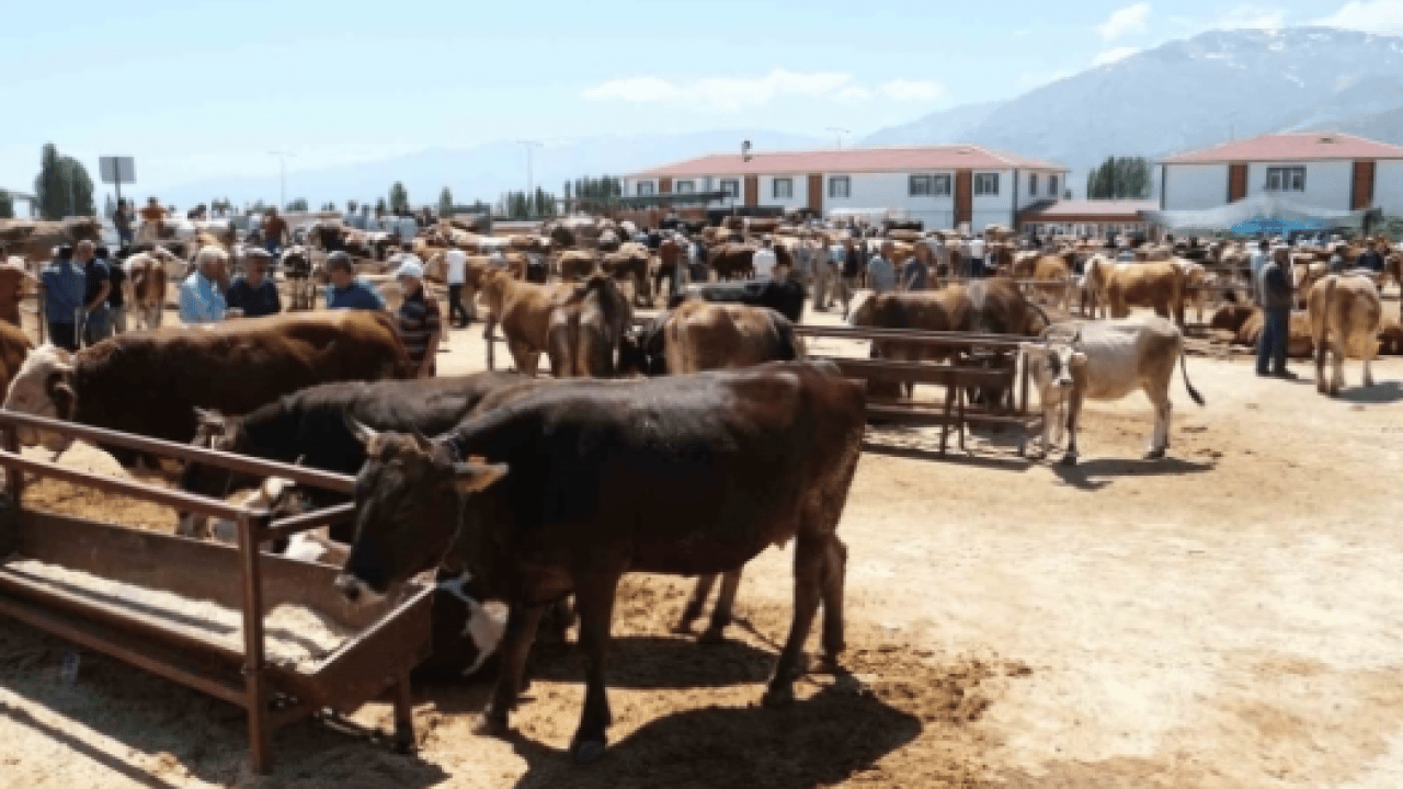 Foto - Neler oluyor? 34 mahalle karantinaya alındı
