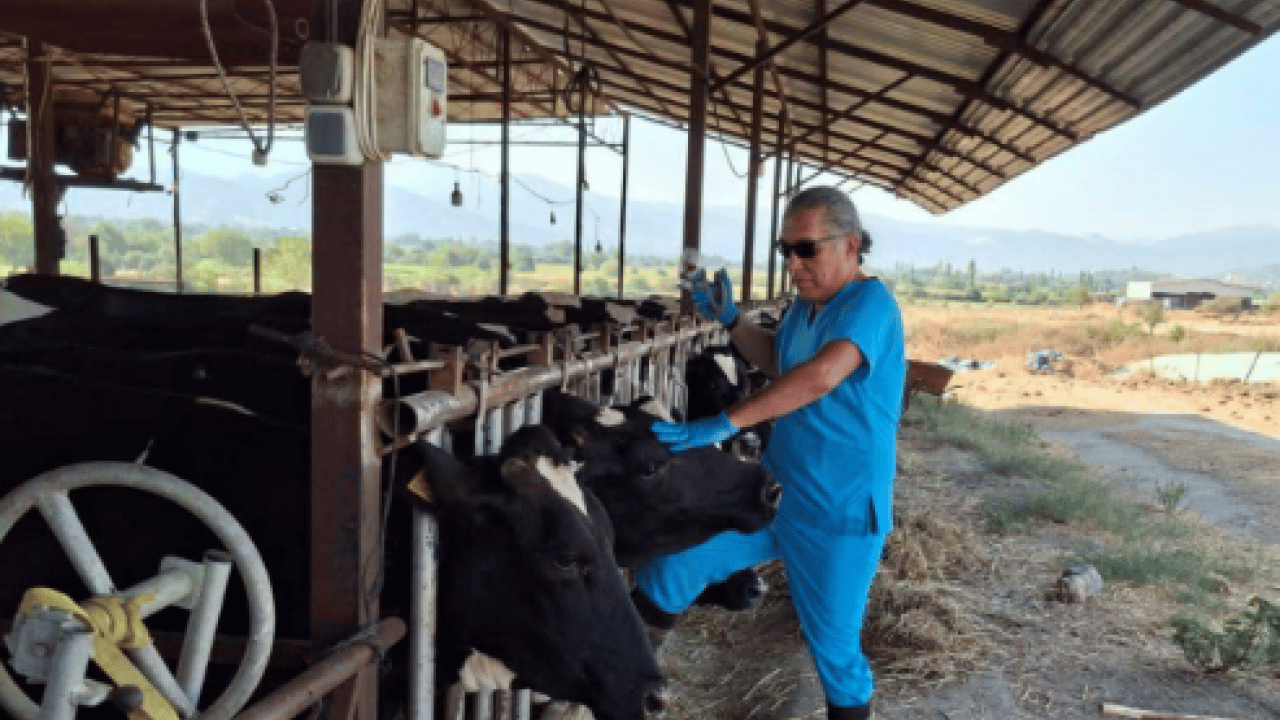 Foto - Neler oluyor? 34 mahalle karantinaya alındı