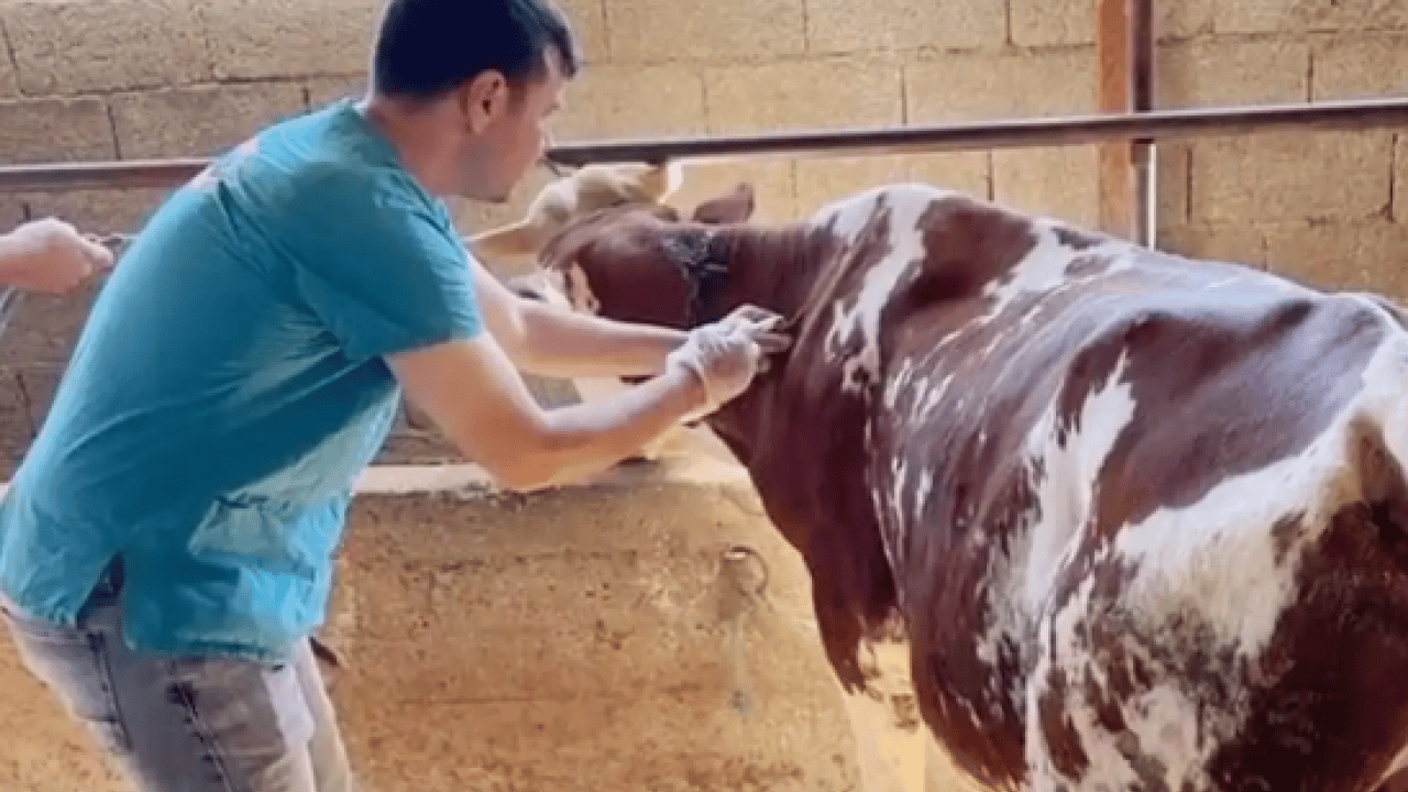 Foto - Neler oluyor? 34 mahalle karantinaya alındı