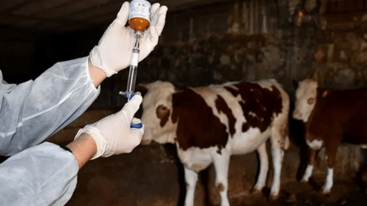 Foto - Neler oluyor? 34 mahalle karantinaya alındı