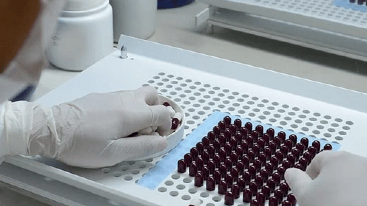 Foto - Neler oluyor böyle? M Çiçeği Virüsü Yayılıyor: Tüm dünya şaşkın bu işe…