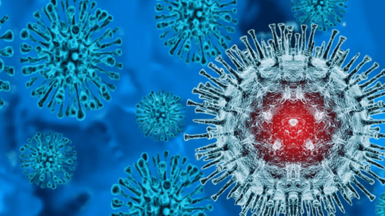 Foto - Neler oluyor böyle? M Çiçeği Virüsü Yayılıyor: Tüm dünya şaşkın bu işe…