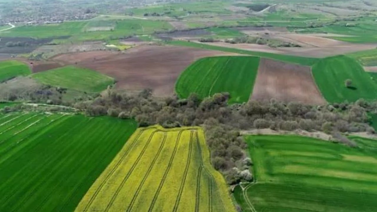 Neredeyse bedava: İşte en ucuz arsaların olduğu iller!