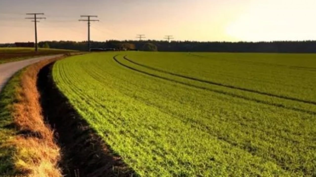 Foto - Neredeyse bedava: İşte en ucuz arsaların olduğu iller!