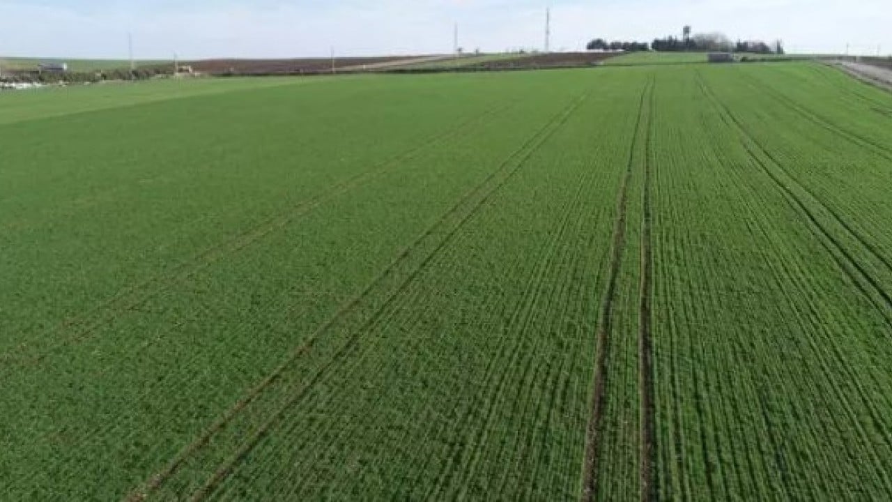 Foto - Neredeyse bedava: İşte en ucuz arsaların olduğu iller!