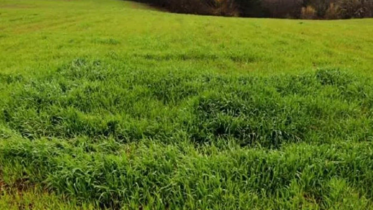 Foto - Neredeyse bedava: İşte en ucuz arsaların olduğu iller!