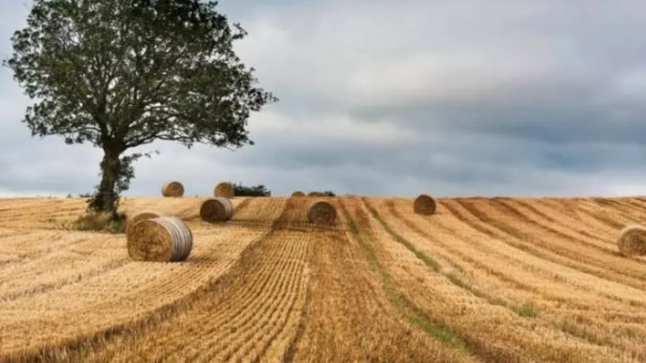 Foto - Neredeyse bedava: İşte en ucuz arsaların olduğu iller!
